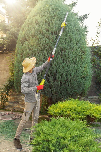 Lawn Watering Services in Orange Park, FL